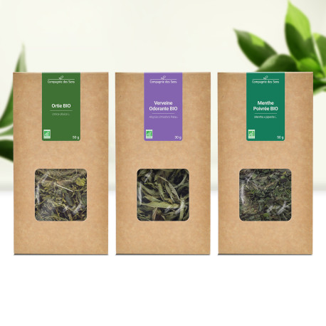 3 Infusions Indispensables - Plantes Médicinales BIO