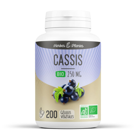 Cassis BIO - Gélules Végétales