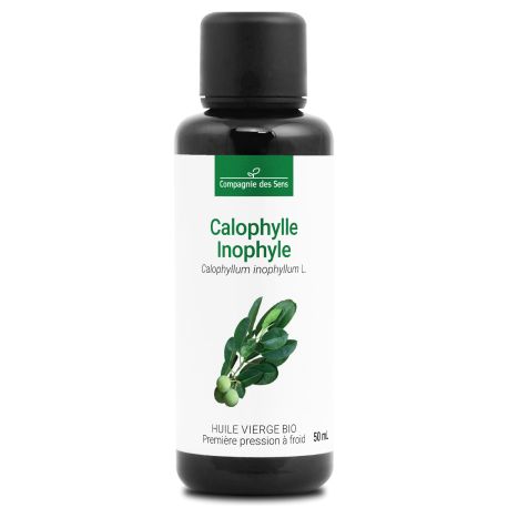 Calophylle Inophyle - Huile Végétale Vierge BIO - Flacon en verre